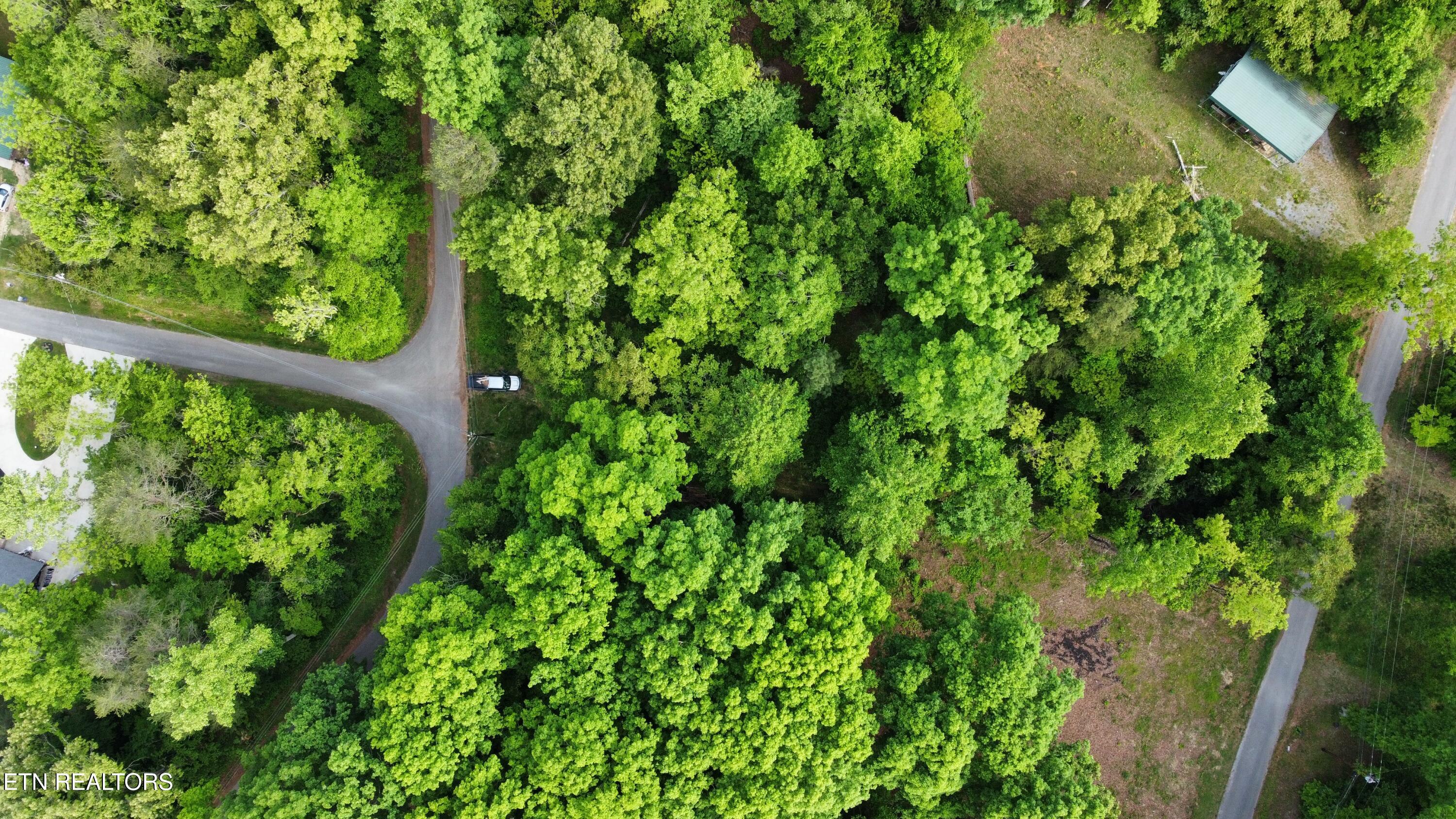 Lot 32 Ernie Roberts Road Rutledge, TN 37861 - Photo 7 of 8 dji_fly_20260502_093342_206_177772882845