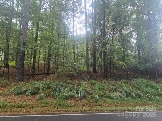 341 Hopewell Church Road Catawba, NC 28609 - Photo 3 of 11 a view of a forest with trees