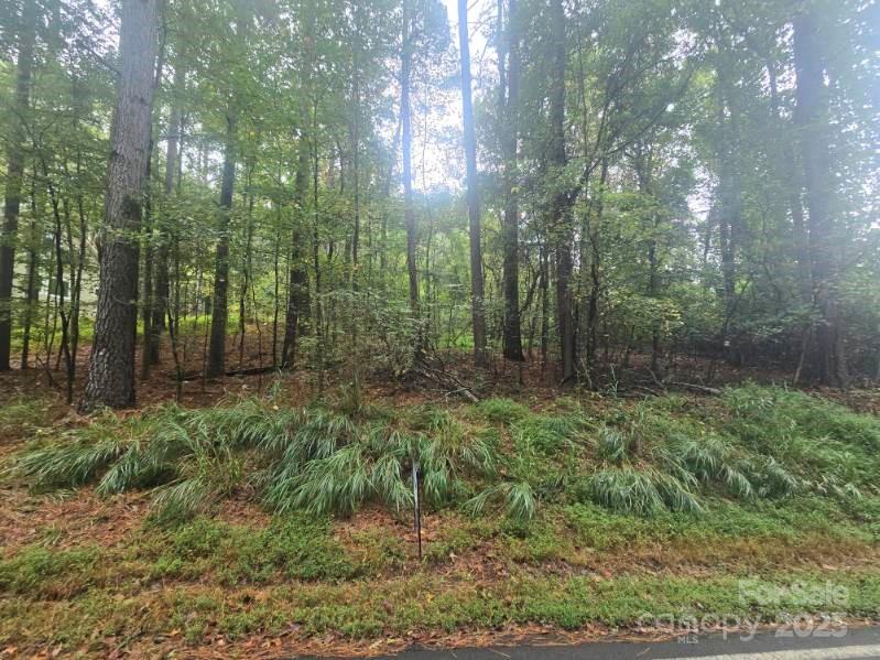 341 Hopewell Church Road Catawba, NC 28609 - Photo 5 of 11 a view of a lush green forest