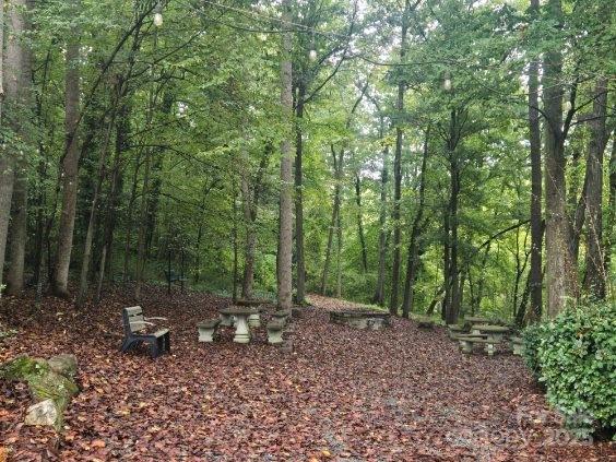 341 Hopewell Church Road Catawba, NC 28609 - Photo 7 of 11 a view of a forest with trees in the background