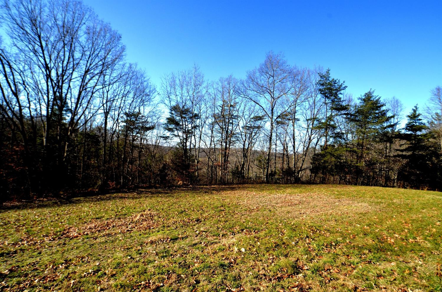 146 Opossum Run Road Irvine, KY 40336 - Photo 29 of 64 Bring the whole family there is room for