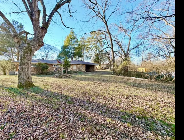 a view of a yard with plants and trees