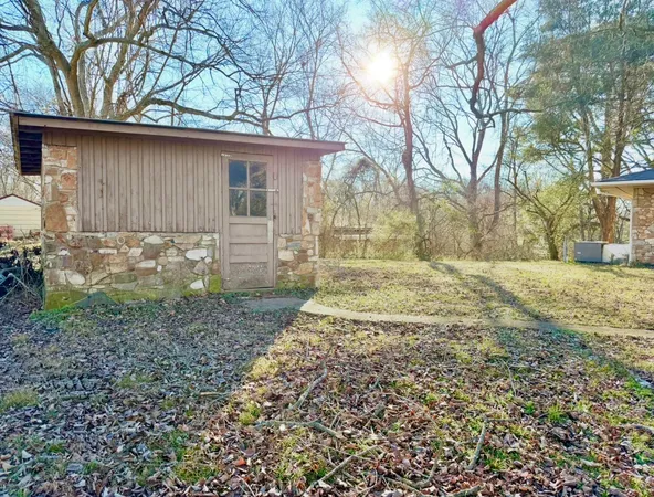 a view of a yard with a large tree