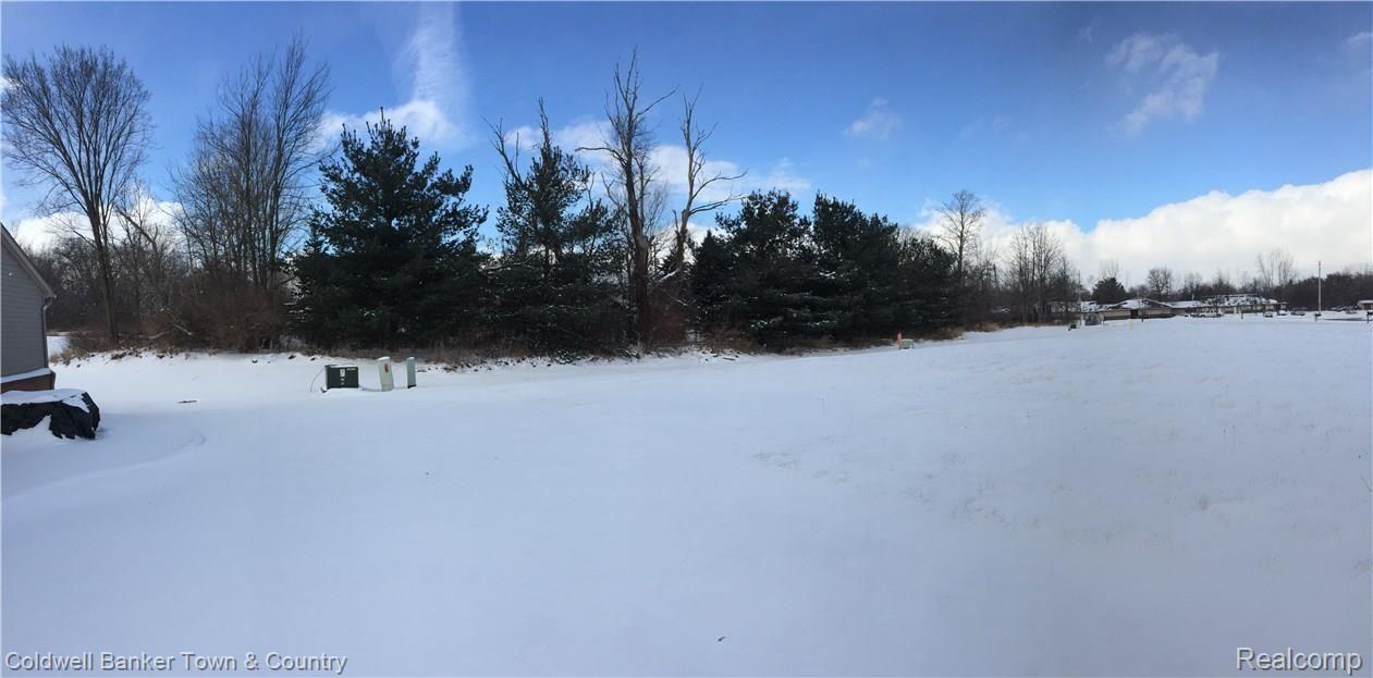 902 Chelsea Ridge Court Howell, MI 48843 - Photo 20 of 23 image.jpg
