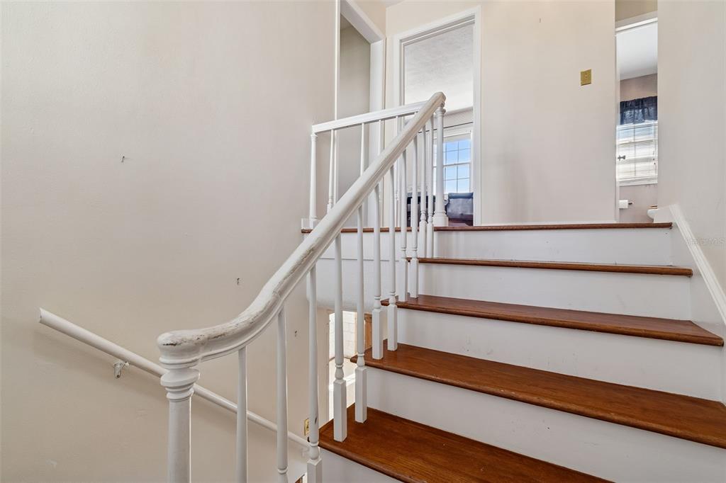 19 Sandpiper Road Tampa, FL 33609 - Photo 29 of 64 a view of entryway