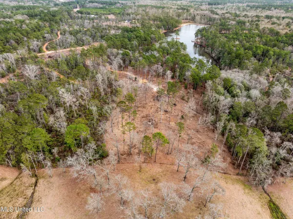 $199,500 | 11-acres 11-acres Ms-42, Sumrall, MS 39482