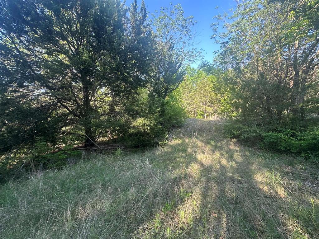 301 West Brand Road Garland, TX 75040 - Photo 4 of 6 a view of a lush green space
