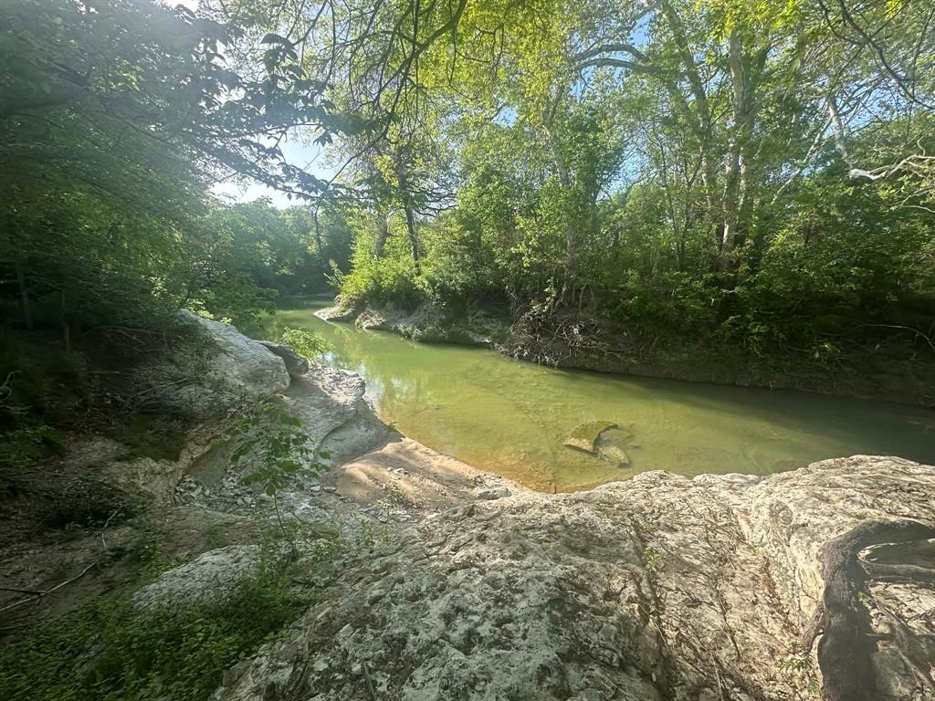 301 West Brand Road Garland, TX 75040 - Photo 6 of 6 a view of a lake from a yard
