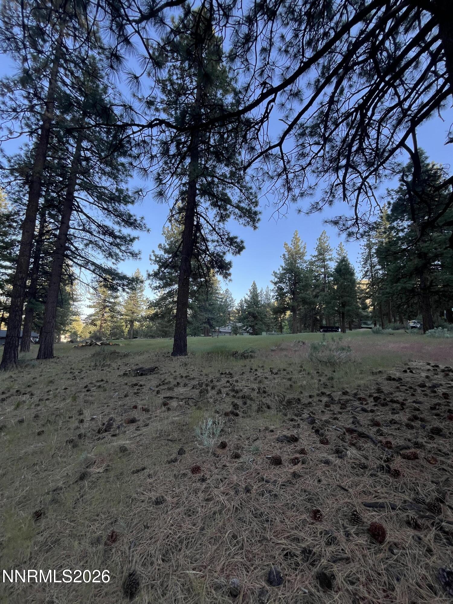 4300 Meadow Wood Road Carson City, NV 89703 - Photo 13 of 15 a view of a yard with a tree