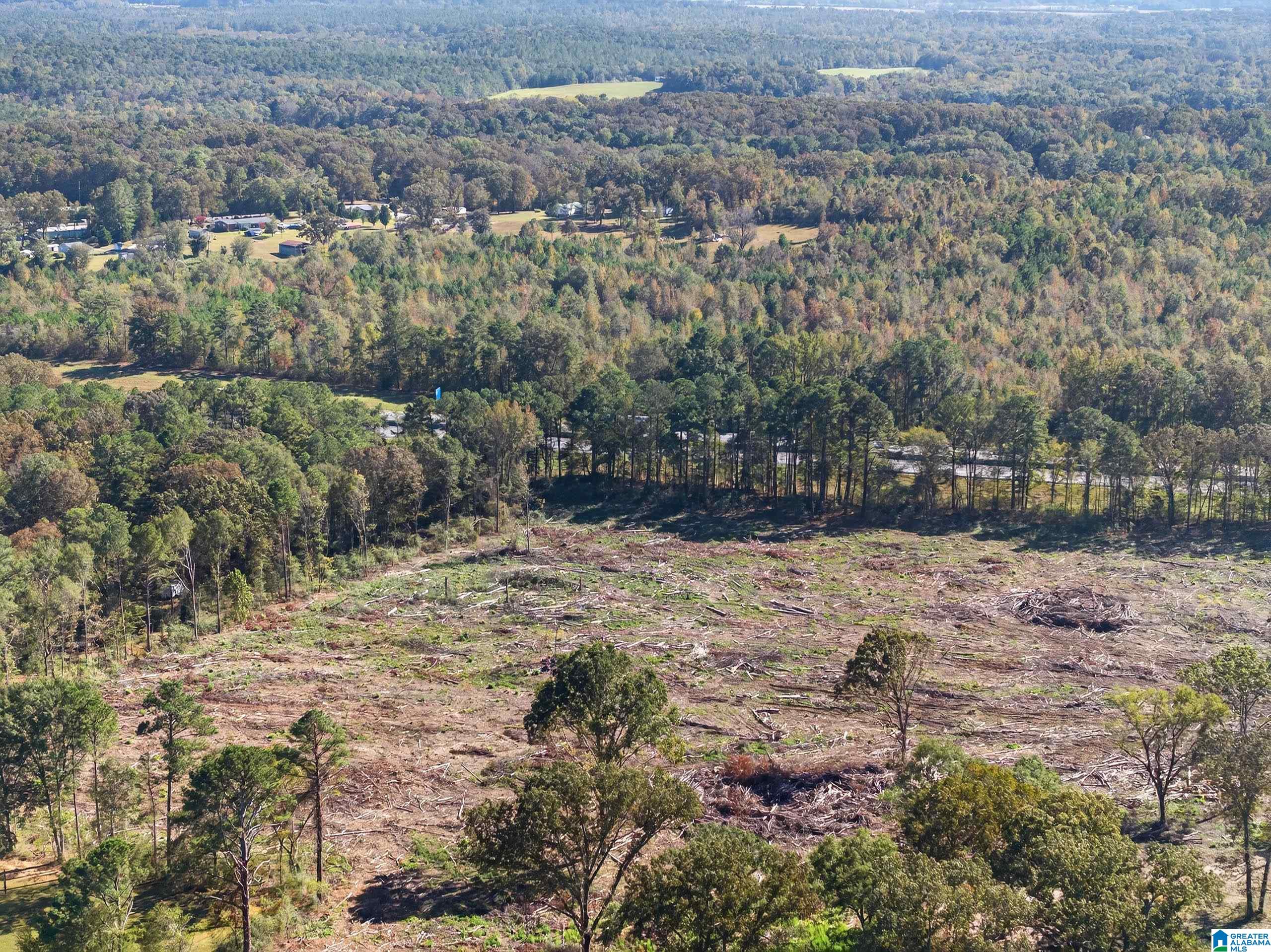 675 County Line Road West Eastaboga, AL 36260 - Photo 3 of 10