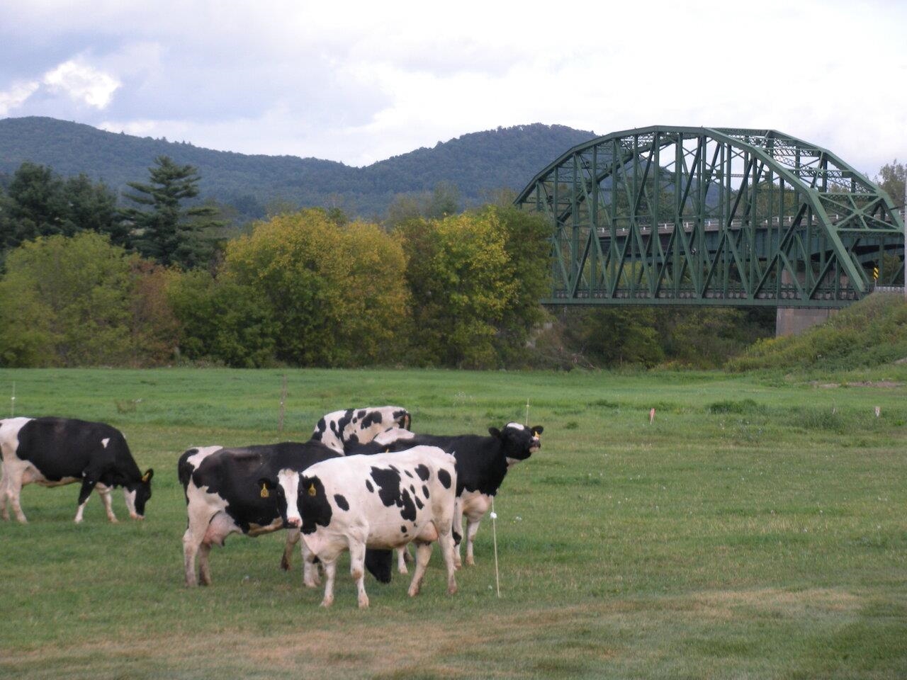 2168 Jericho Road Richmond, VT 05477 - Photo 26 of 33