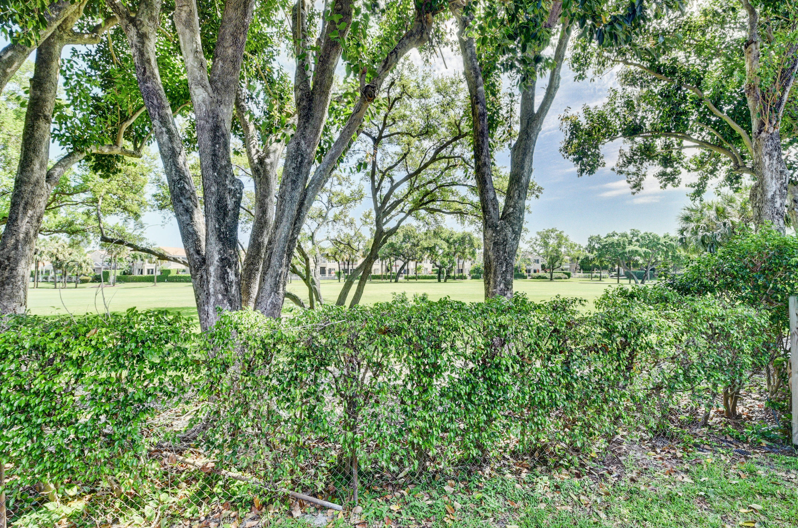 4045 Birchwood Drive Boca Raton, FL 33487 - Photo 37 of 54 Yard View