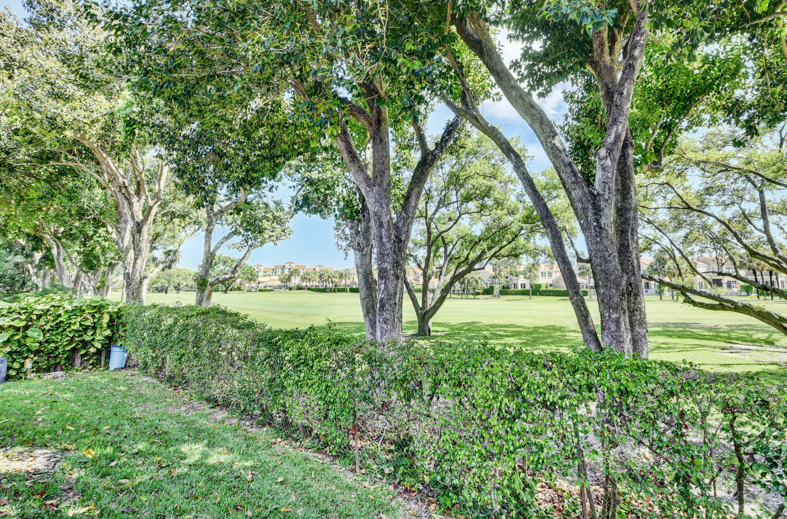 4045 Birchwood Drive Boca Raton, FL 33487 - Photo 38 of 54 Yard View