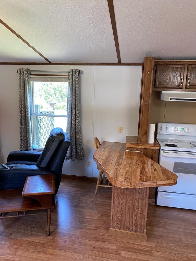 313 Lonesome Pine Road Bybee, TN 37713 - Photo 18 of 48 a living room with furniture and wooden floor