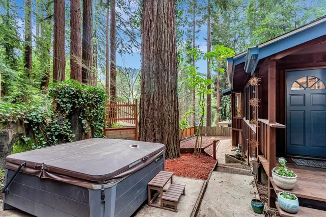 a view of a backyard with a tree