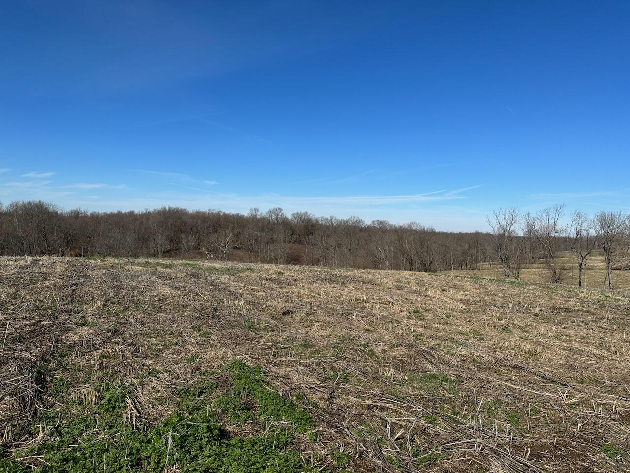 23 Upper Lick Road Moorefield, KY 40350 - Photo 6 of 7 23 Upperlick -2