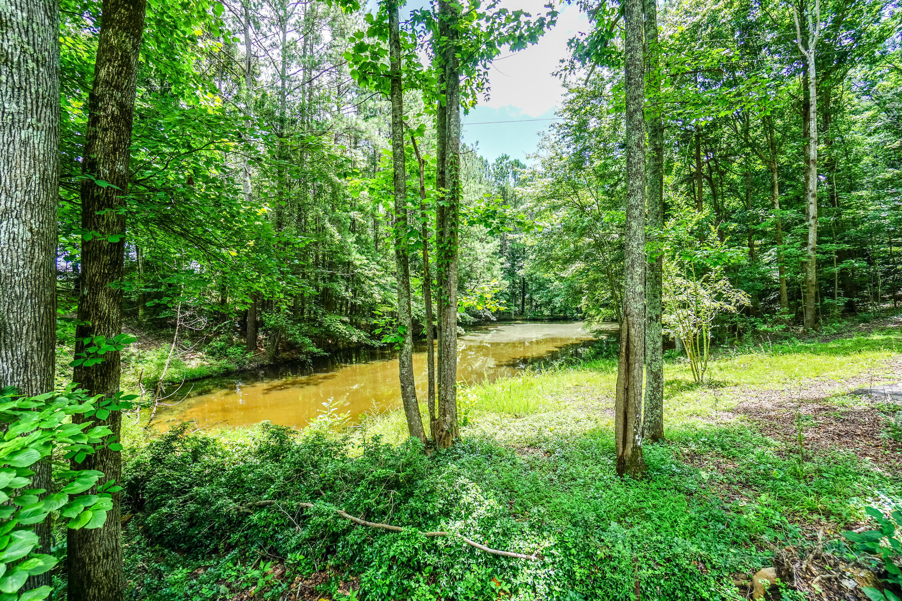 3365 Keith Road Ringgold, GA 30736 - Photo 72 of 90 Pond