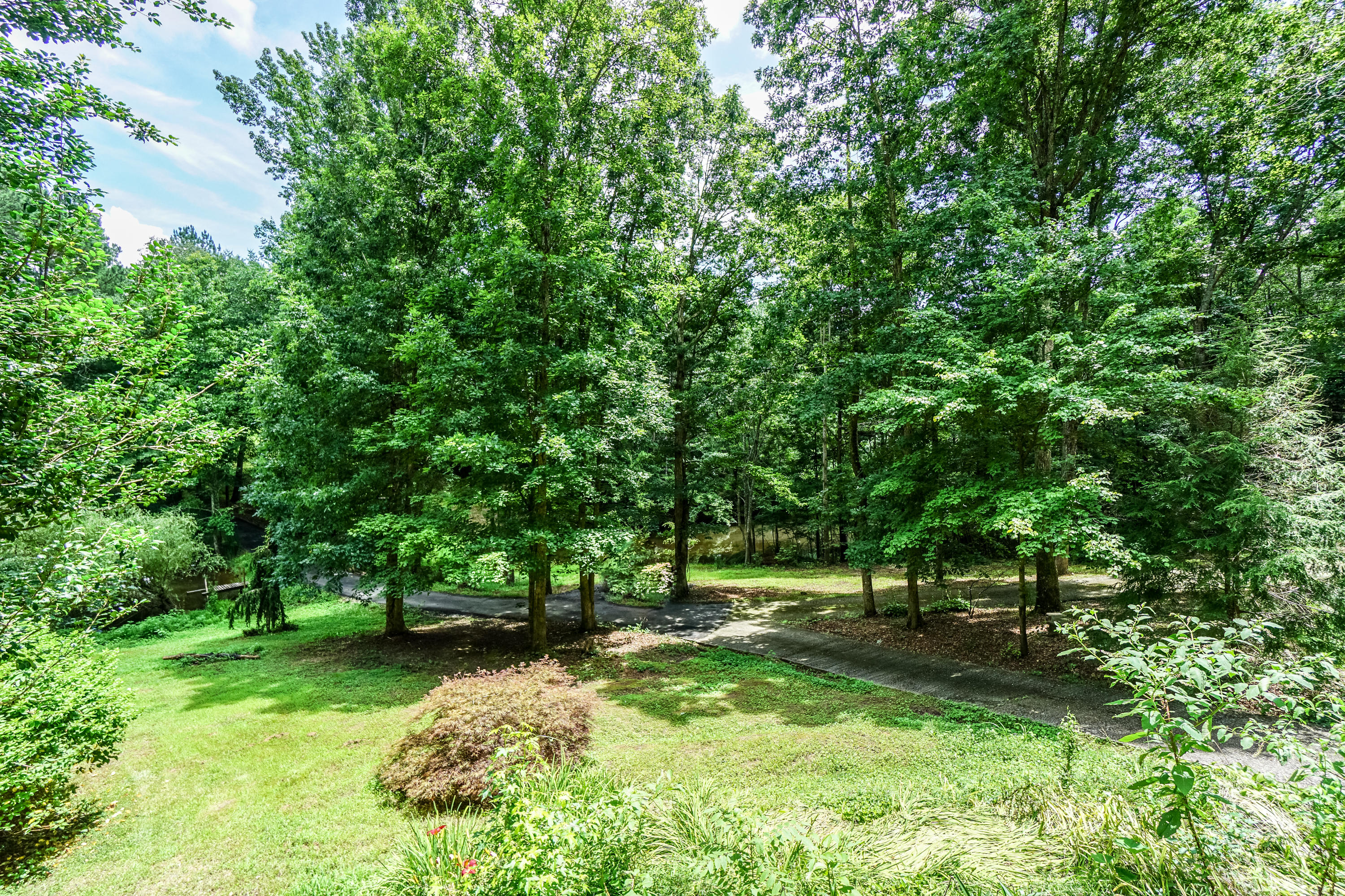 3365 Keith Road Ringgold, GA 30736 - Photo 73 of 90 Wooded Landscape