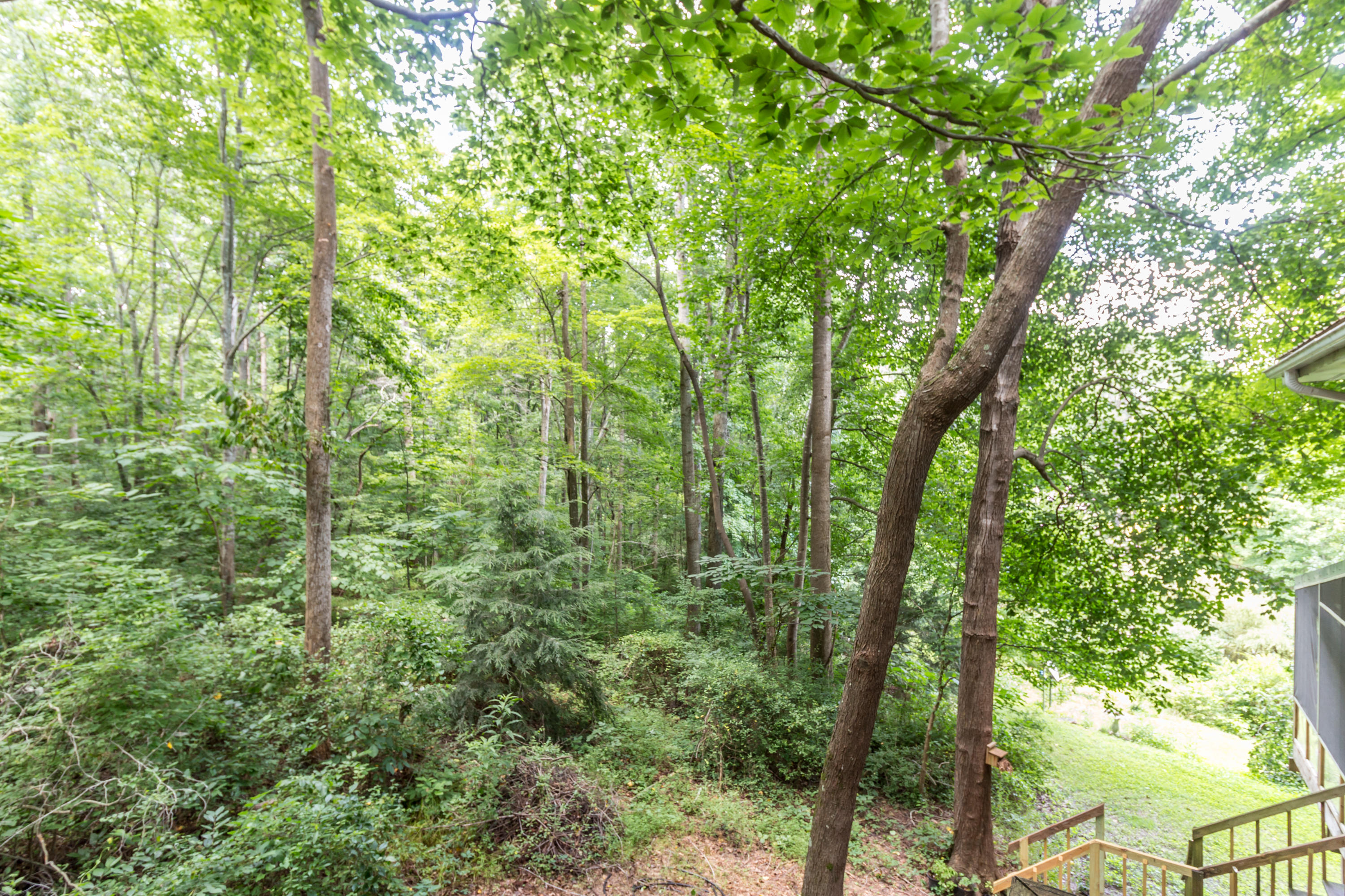 3365 Keith Road Ringgold, GA 30736 - Photo 74 of 90 Wooded Landscape