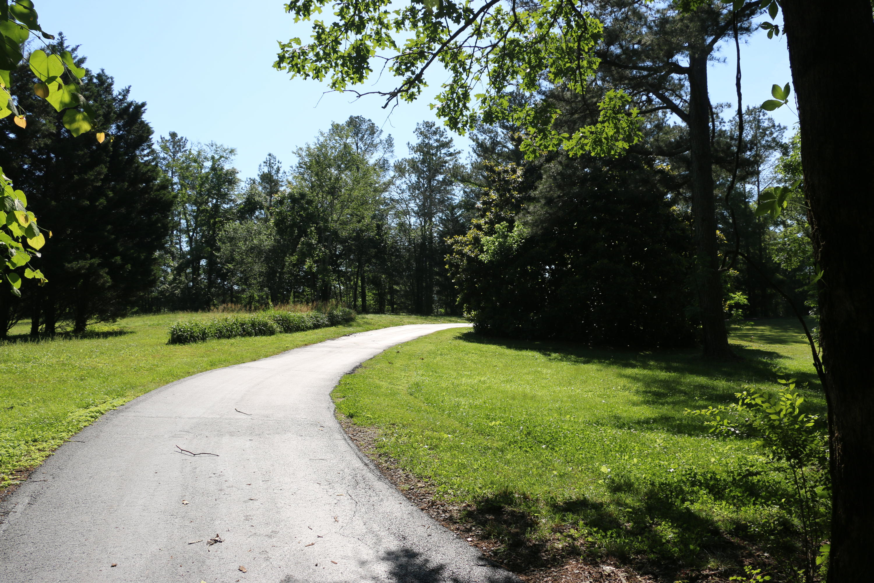 3365 Keith Road Ringgold, GA 30736 - Photo 76 of 90 Driveway