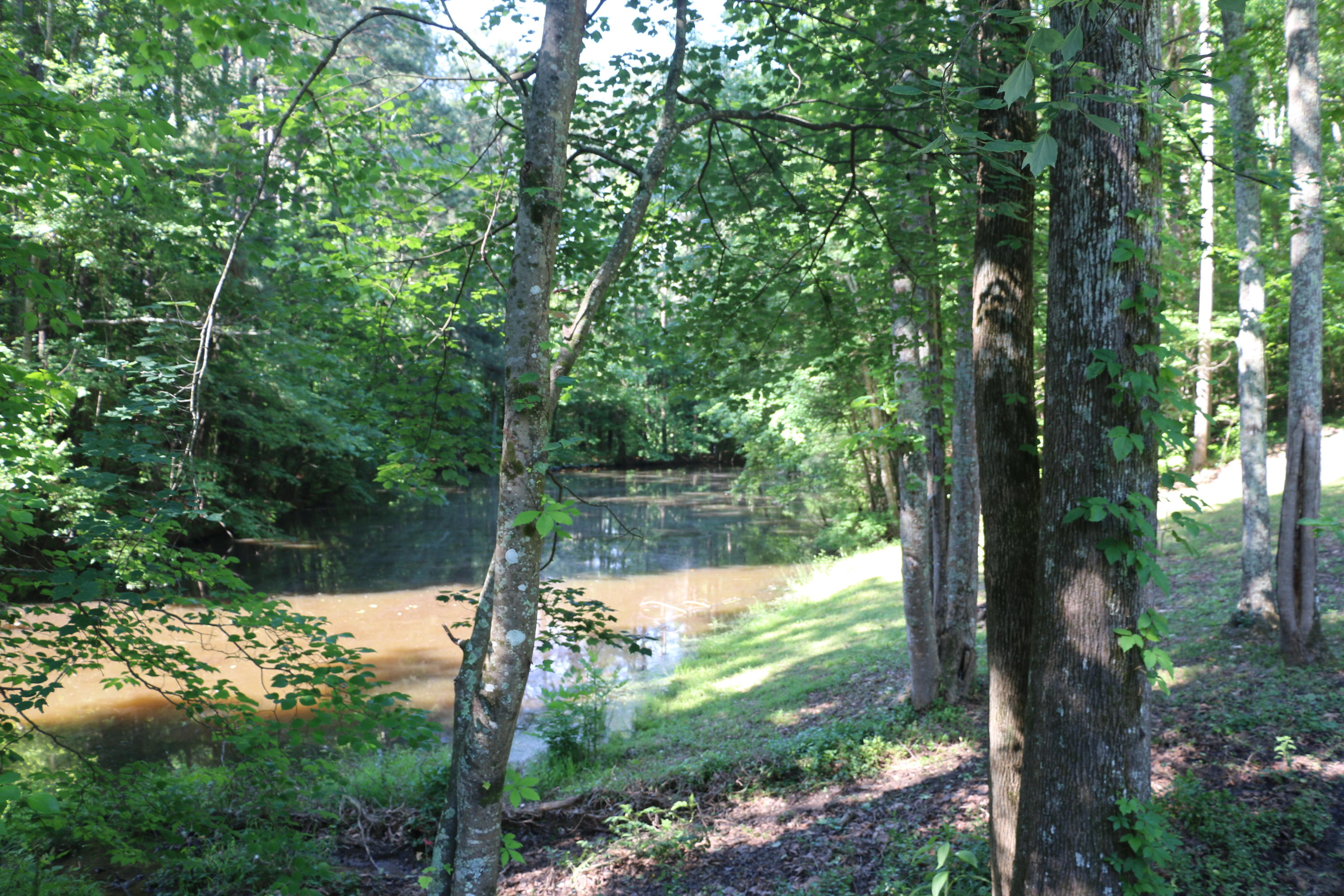 3365 Keith Road Ringgold, GA 30736 - Photo 81 of 90 Pond