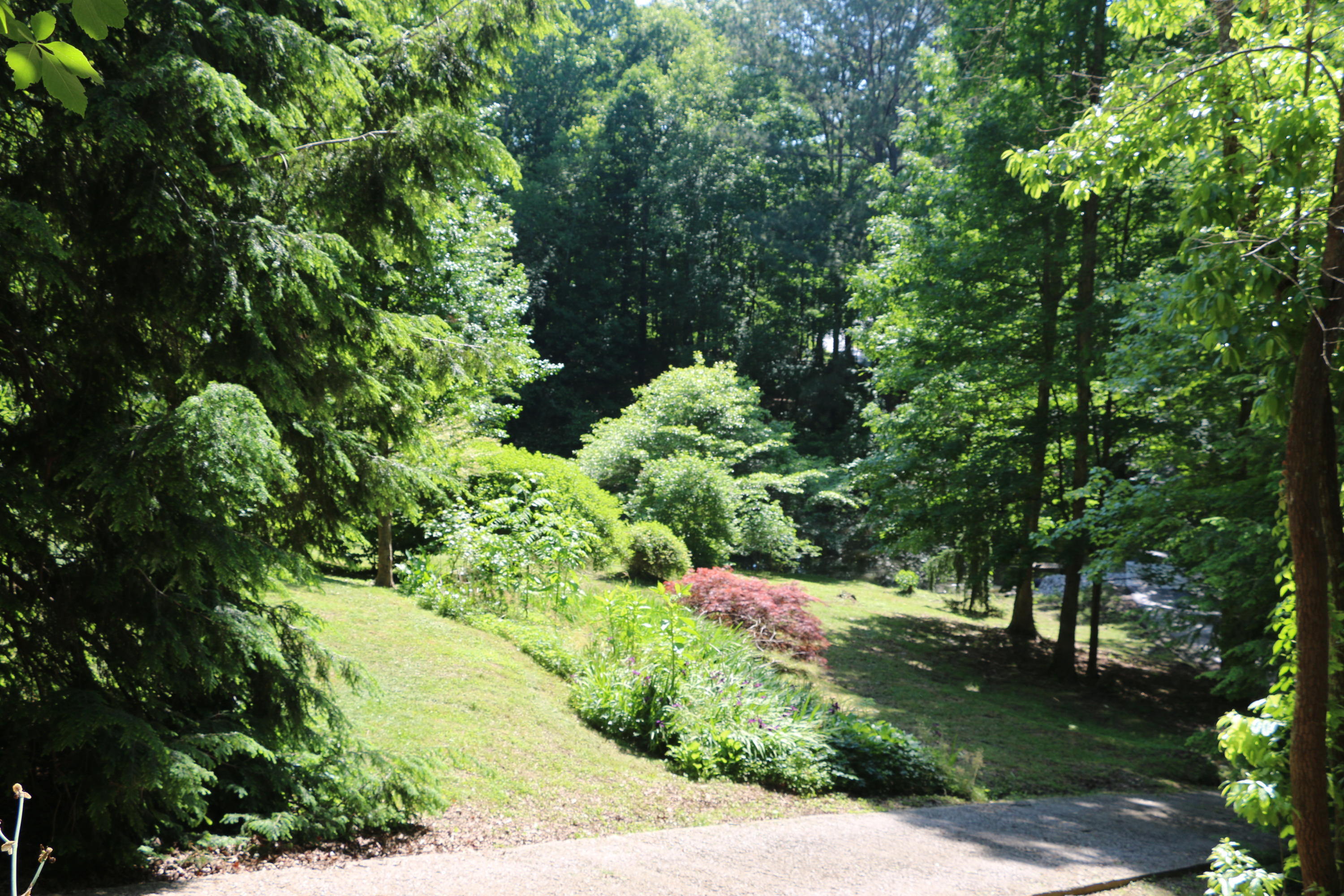 3365 Keith Road Ringgold, GA 30736 - Photo 82 of 90 Landscaping