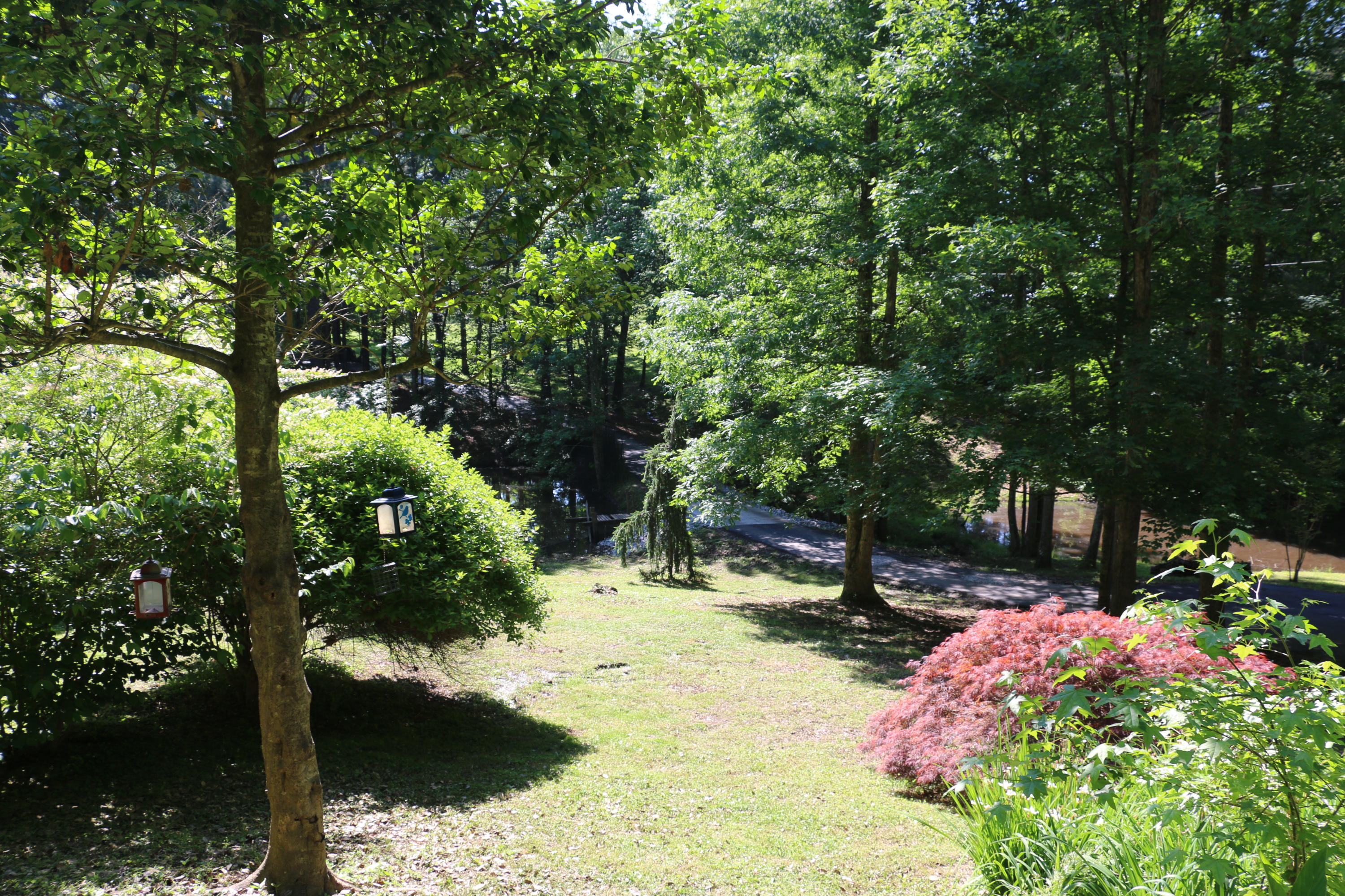 3365 Keith Road Ringgold, GA 30736 - Photo 87 of 90 Landscaping