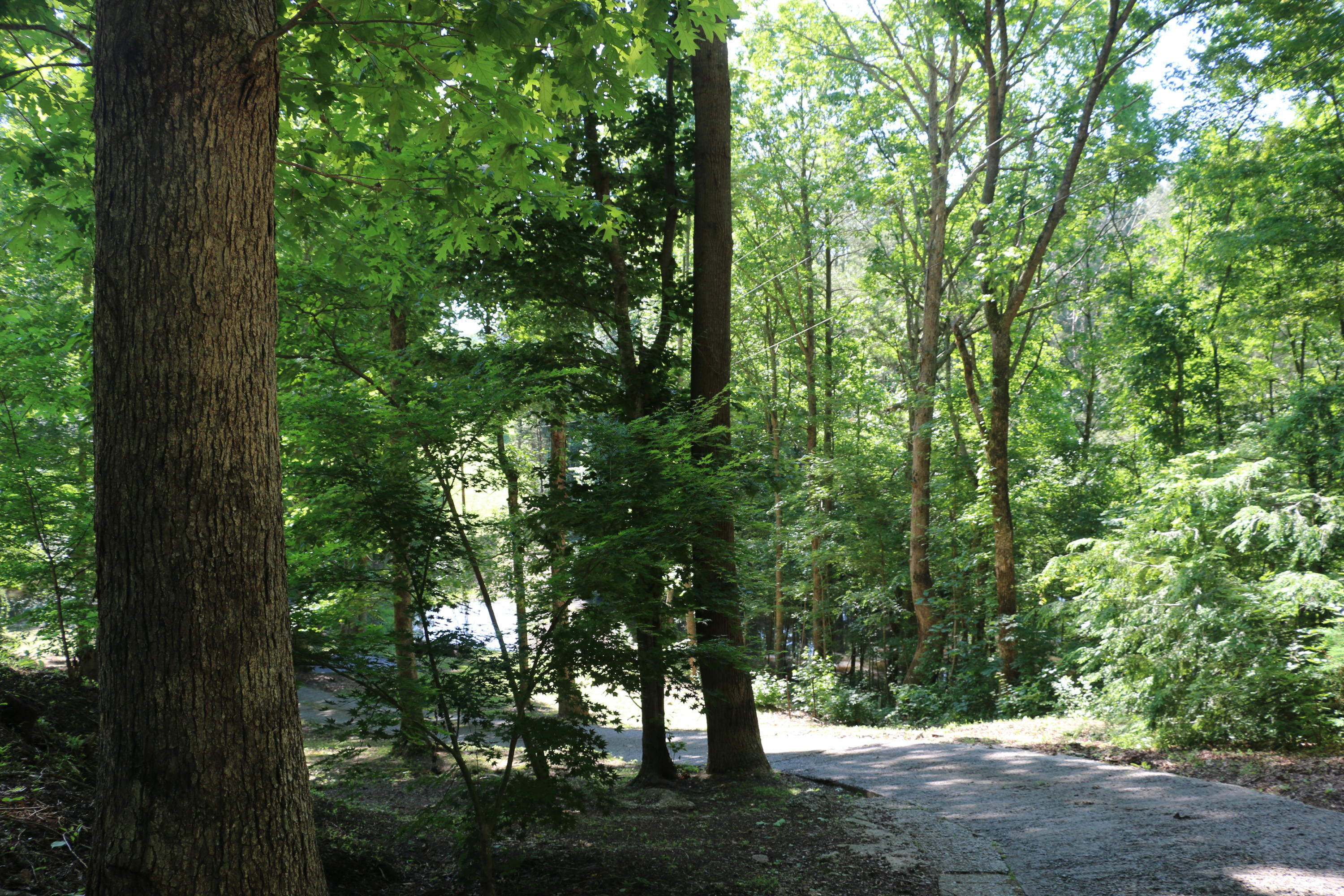 3365 Keith Road Ringgold, GA 30736 - Photo 89 of 90 Landscaping