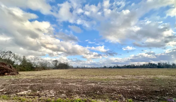 $189,900 | Lot #7 La Highway, Darrow, LA 70725