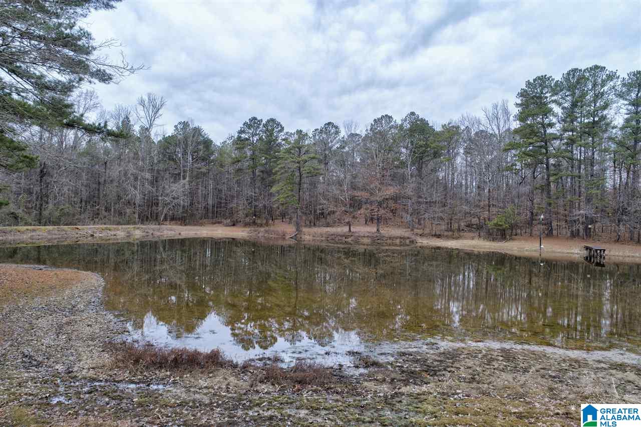 5125 Forestwood Road Adamsville, AL 35005 - Photo 22 of 42