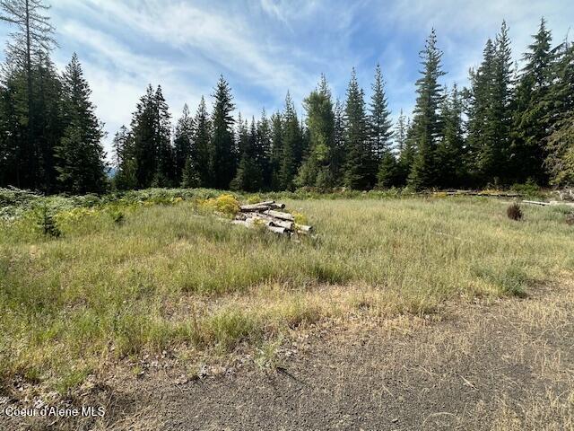 77523 State Highway 3, Unit SOUTH St. Maries, ID 83861 - Photo 30 of 33 Pasture II