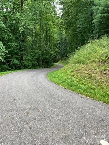a view of a field with plants and a trees in the background