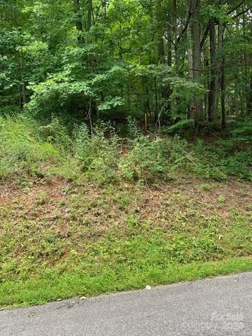 a big yard with lots of green space and plants
