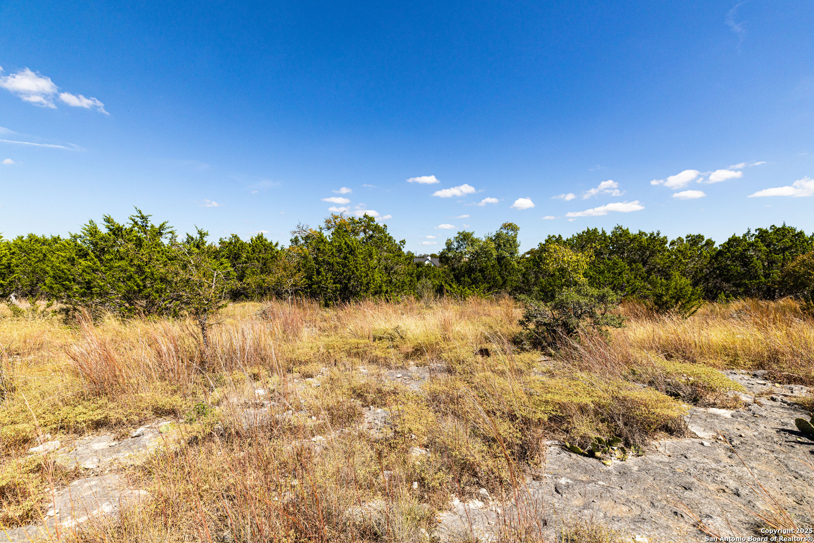 123 Levi English Blanco, TX 78606 - Photo 14 of 38 a view of lake with green space