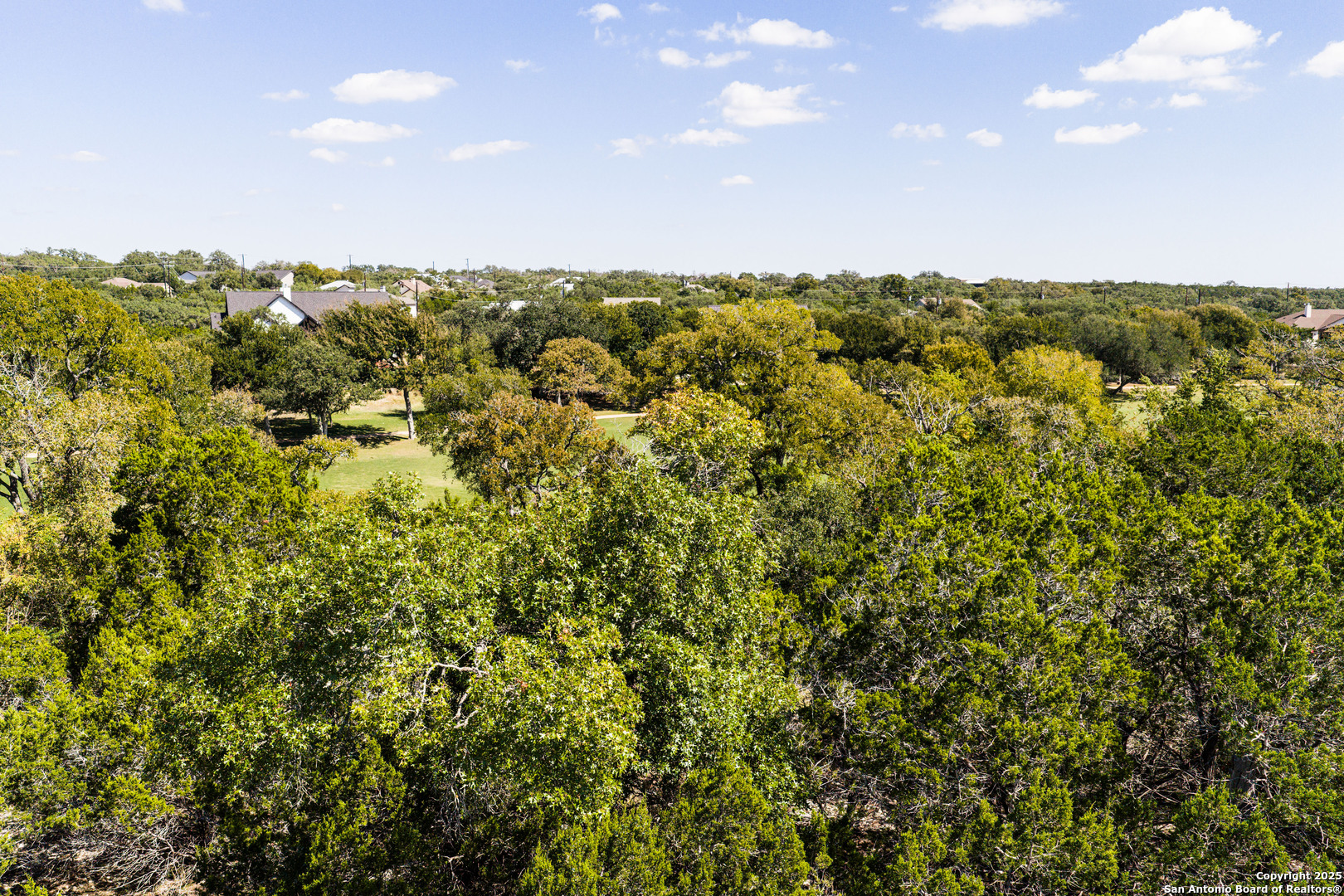 123 Levi English Blanco, TX 78606 - Photo 7 of 38 a view of a green field with lots of bushes
