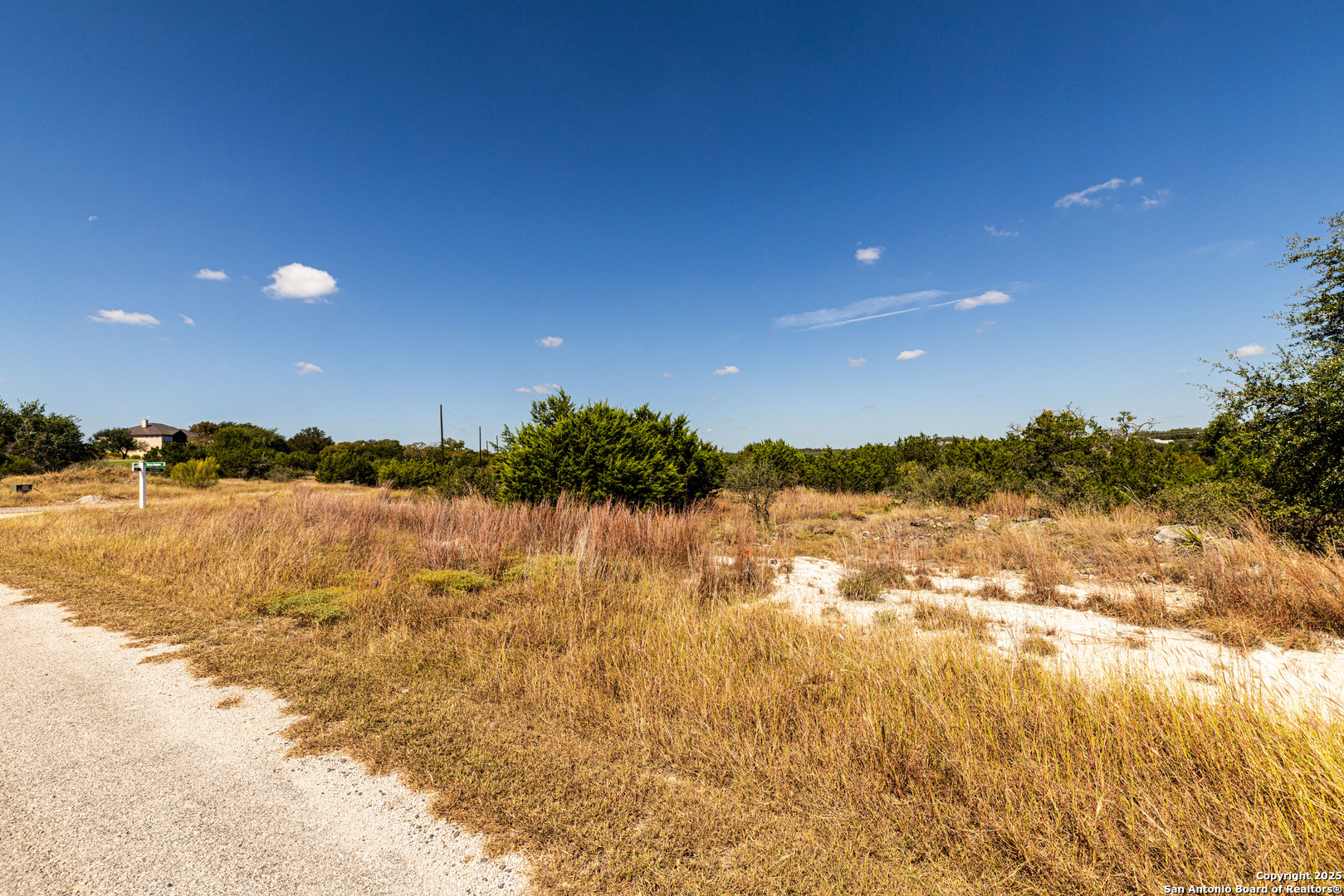123 Levi English Blanco, TX 78606 - Photo 9 of 38