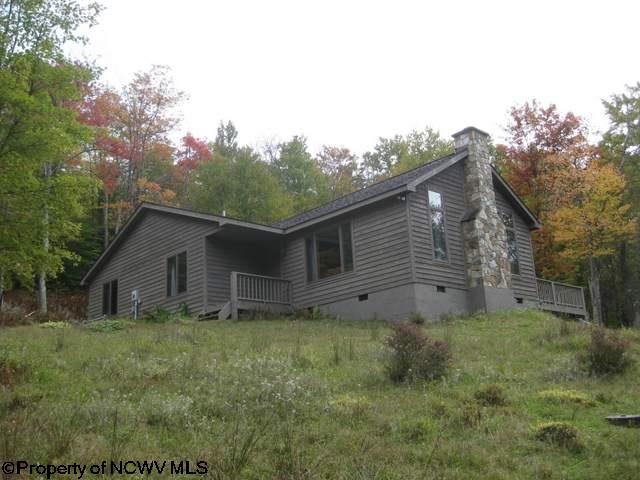 1208 Cabin Mountain Road Davis, WV 26260 - Photo 1 of 17 Gallery Image 1