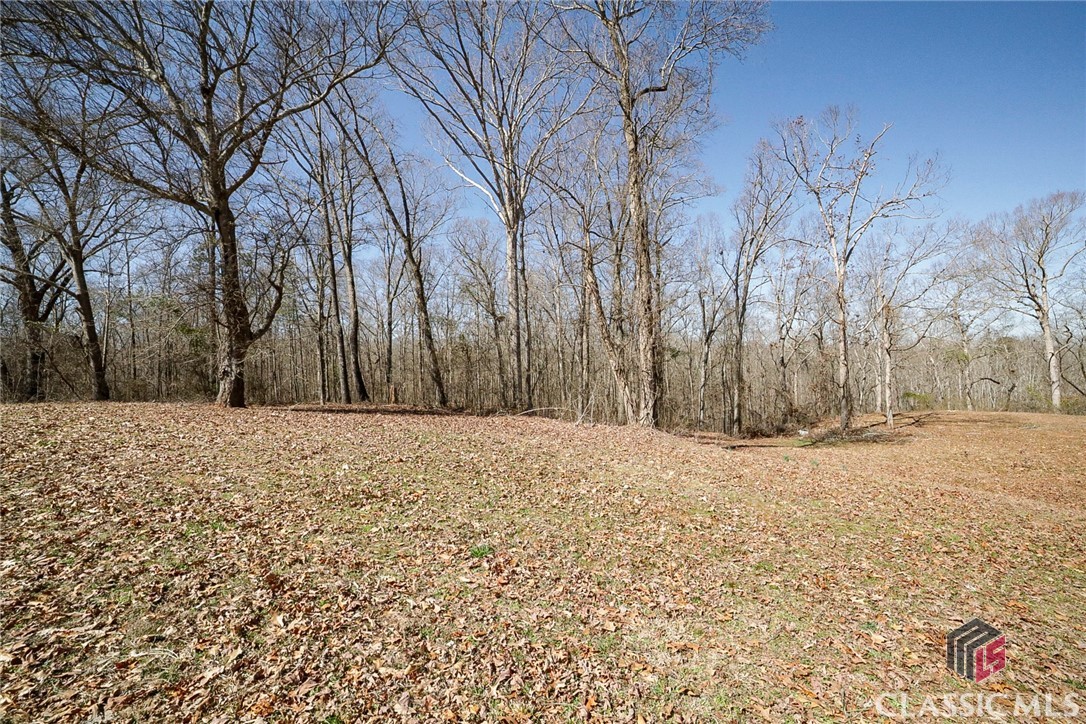 315 Cliff Griffith Road Danielsville, GA 30633 - Photo 46 of 62 Gallery Image 46