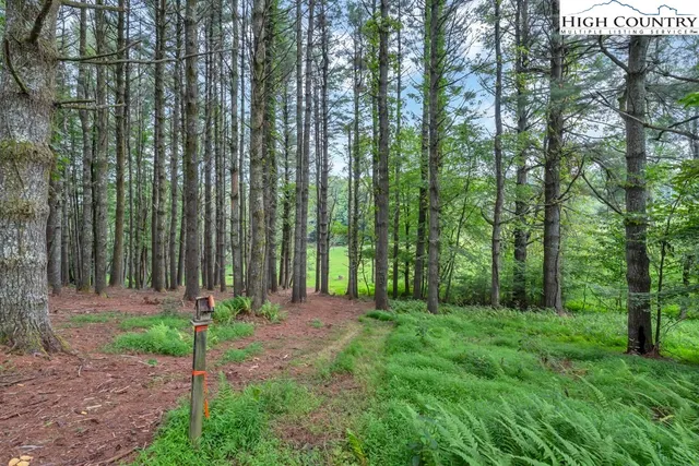 a view of an outdoor space and yard