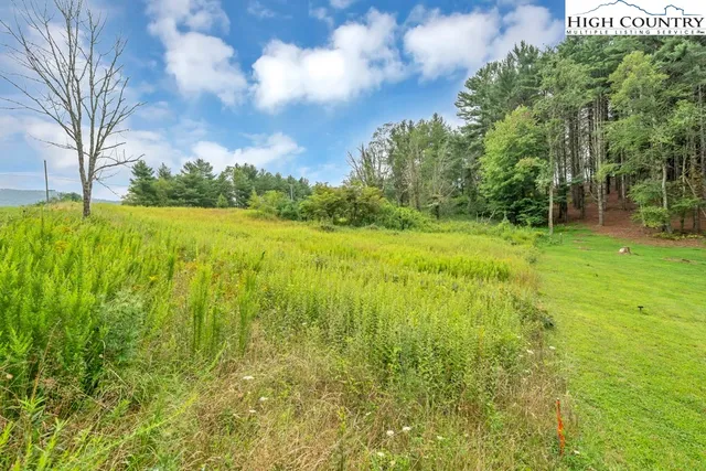 a view of a garden from a window