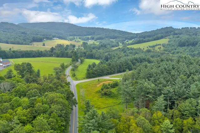 a view of a big yard with large trees