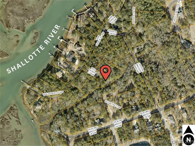 a close up of a plant in a bathroom