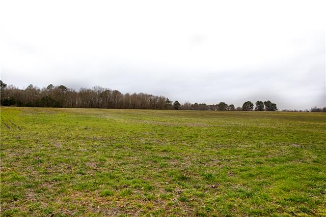 17735 Newby Chapel Road Athens, AL 35613 - Photo 16 of 17