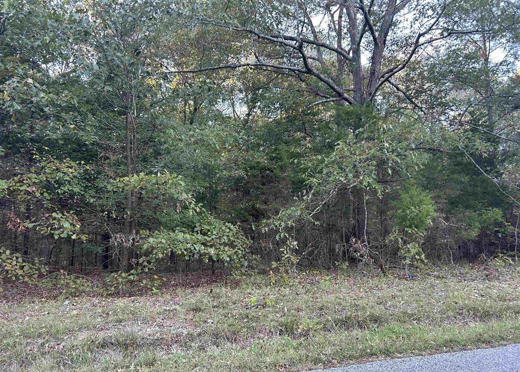 Lot 2 Beal Road Hardin, KY 42048 - Photo 1 of 2 Lot