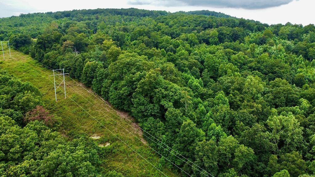 185 Raccoon Ridge Road Spring City, TN 37381 - Photo 26 of 37 Gallery Image 26
