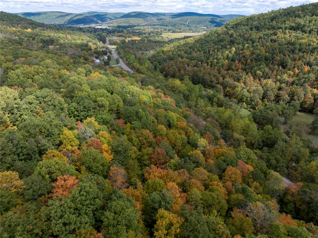 Caton Road West Corning, NY 14830 - Photo 11 of 17