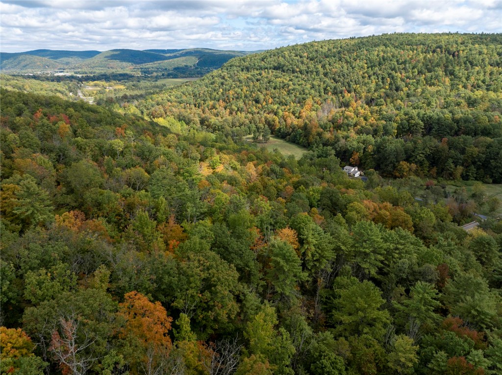 Caton Road West Corning, NY 14830 - Photo 13 of 17