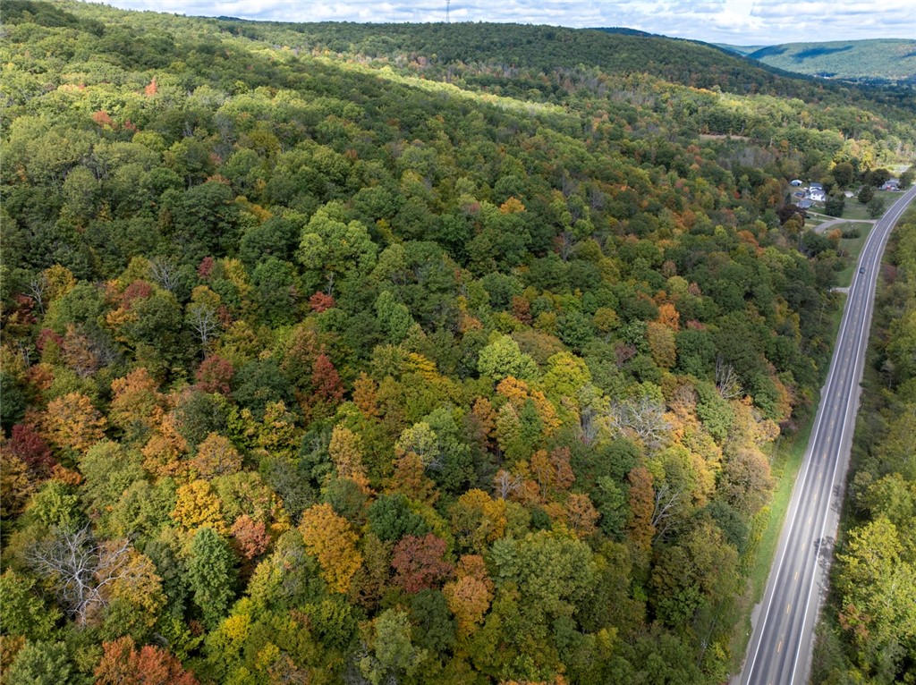 Caton Road West Corning, NY 14830 - Photo 3 of 17