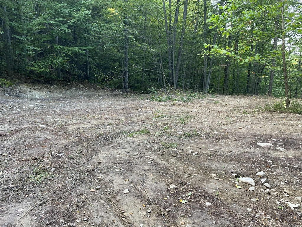 Caton Road West Corning, NY 14830 - Photo 6 of 17