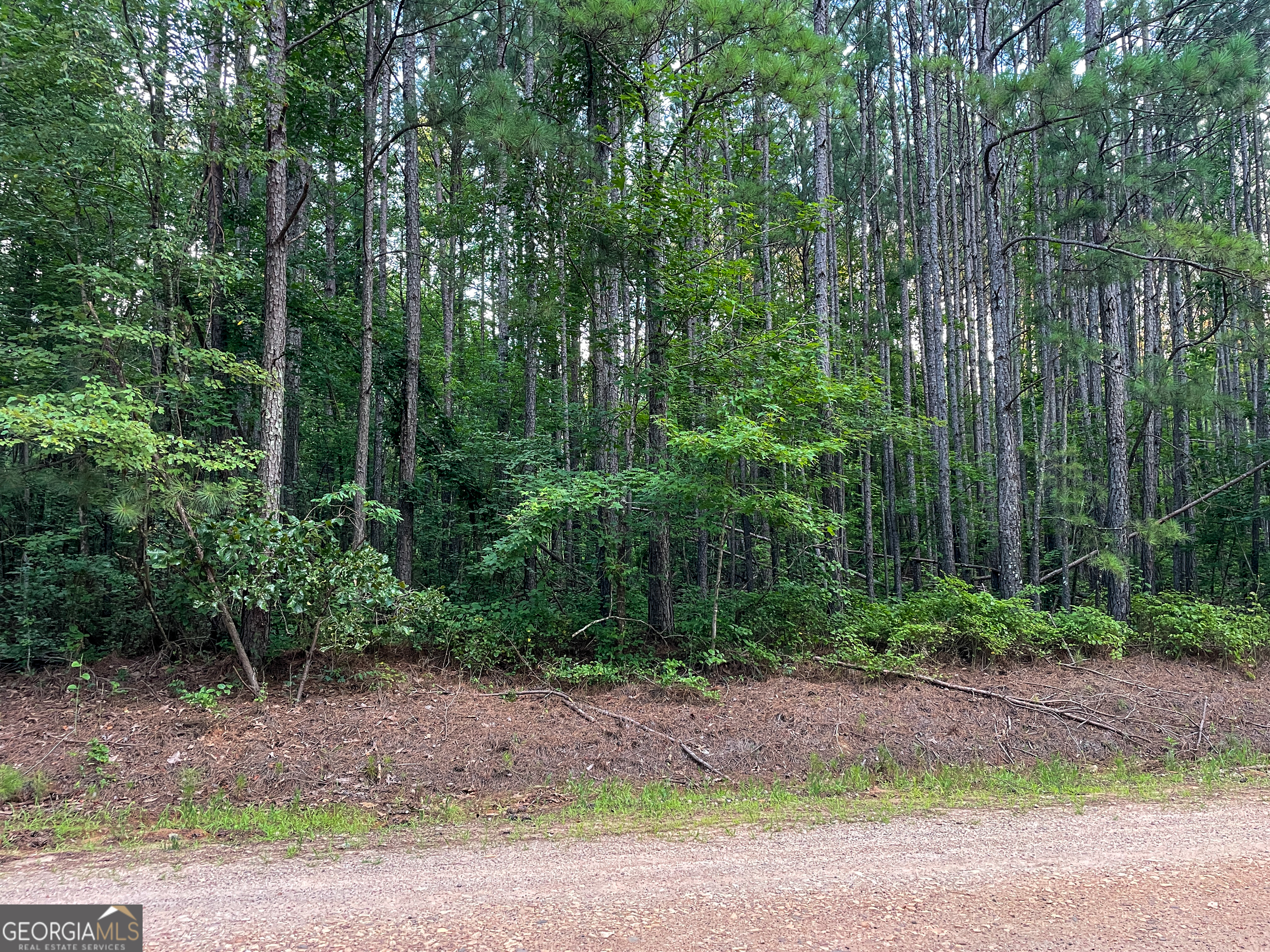 0 Caney Head Road Roopville, GA 30170 - Photo 12 of 22 a view of a yard with large trees and plants